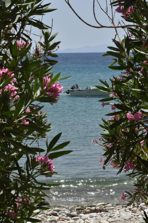 Seaside Home In Kardiani/Giannaki Bay - Agnes'S Home エクステリア 写真
